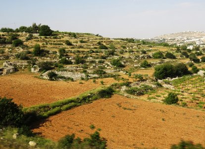 2018 Palestine , 037 entre Hébron et Jérusalem