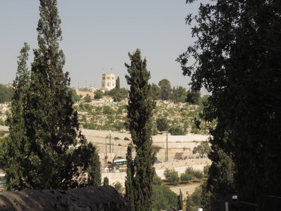 2018 Palestine , 049 Jérusalem vue du bas du jardin des Oliviers