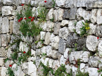 2018 Palestine , 078 Jérusalem: la piscine de Bethesda