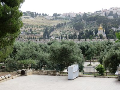 2018 Palestine , 090 le Mont des Oliviers vu de l’’esplanade