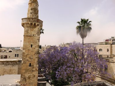 2018 Palestine , 102 Jérusalem:  vue du sommet de la synagogue Yehuda He Hassid (?)