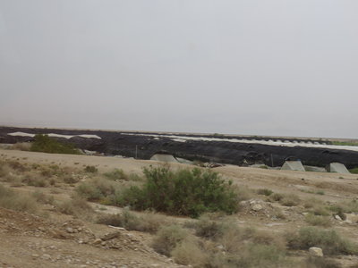 2018 Palestine , 183 rivages de la mer Morte