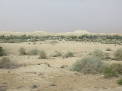 2018 Palestine , 191 sur la route entre mer Morte et lac de Tibériade