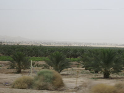 2018 Palestine , 192 sur la route entre mer Morte et lac de Tibériade