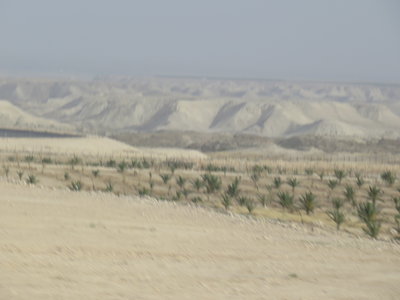 2018 Palestine , 199 sur la route entre mer Morte et lac de Tibériade