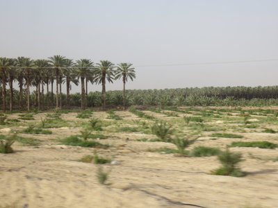 2018 Palestine , 200 sur la route entre mer Morte et lac de Tibériade