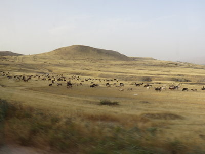 2018 Palestine , 201 sur la route entre mer Morte et lac de Tibériade