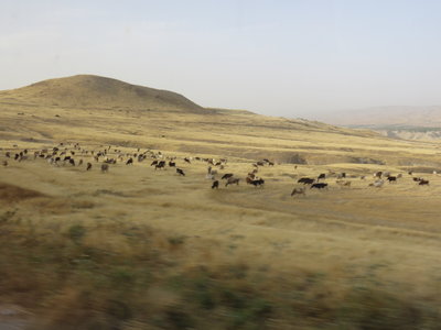 2018 Palestine , 202 sur la route entre mer Morte et lac de Tibériade