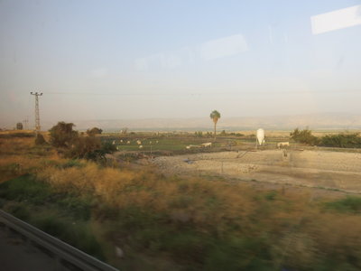2018 Palestine , 203 sur la route entre mer Morte et lac de Tibériade