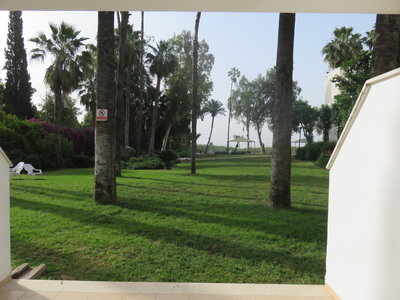 2018 Palestine , 207 le jardin de l’’auberge de jeunesse au bord du lac de Tibériade