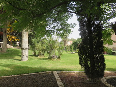 2018 Palestine , 223 le jardin du Mont des Béatitudes