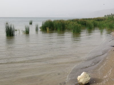 2018 Palestine , 263 lac de Tibériade