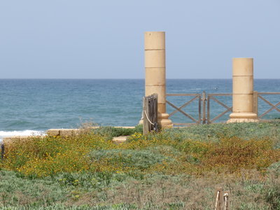 2018 Palestine , 330 Césarée