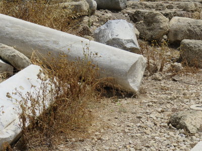2018 Palestine , 353 Césarée