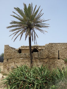 2018 Palestine , 358 Césarée
