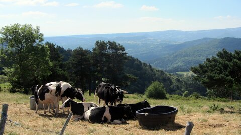 Le Vernet Sainte Marguerite - Le Puy d' Alou, IMG_1834