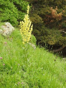vendredi 29/06/2018, DSCN4097
