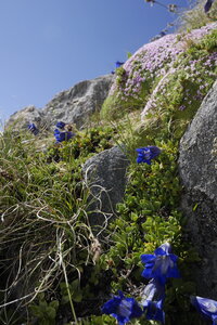 2018-06-18-24-mont-blanc, alpes-aventure-ecole-de-glace-2018-06-19-38