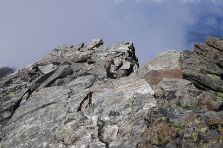 2018-06-18-24-mont-blanc, alpes-aventure-refuge-tete-rousse-2018-06-22-10