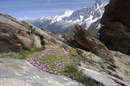 2018-06-18-24-mont-blanc, alpes-aventure-refuge-tete-rousse-2018-06-22-11
