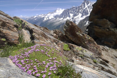 2018-06-18-24-mont-blanc, alpes-aventure-refuge-tete-rousse-2018-06-22-13