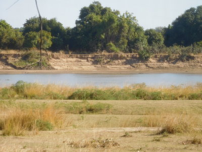 Zambie2018, DSCN2791