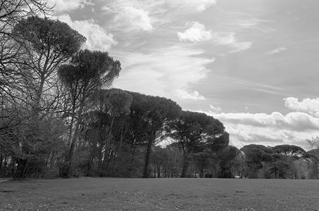 @fmbdx@piaille.fr 2018, Parc de Mandavit, Gradignan