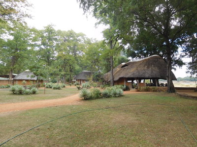 Zambie2018, DSCN3023