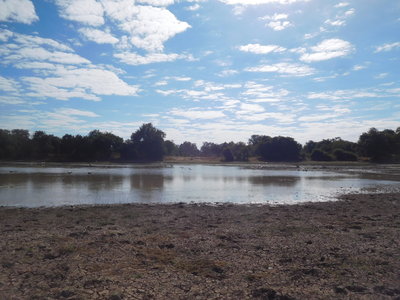 Zambie2018, DSCN3249
