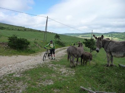 Raid VTT Drôme_2018, Drôme_012