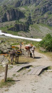 Les Rouies, 20180702_160614-01