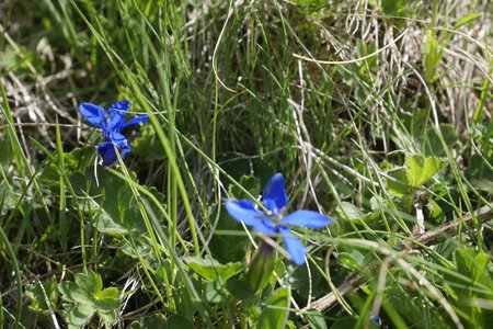 2018-06-25-30-mont-rose, alpes-aventure-mont-rose-refuge-mezzalama-2018-06-26-10