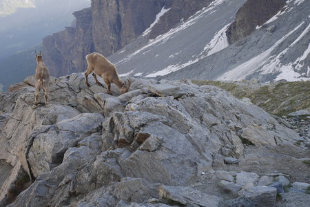 2018-06-25-30-mont-rose, alpes-aventure-mont-rose-refuge-mezzalama-2018-06-26-56