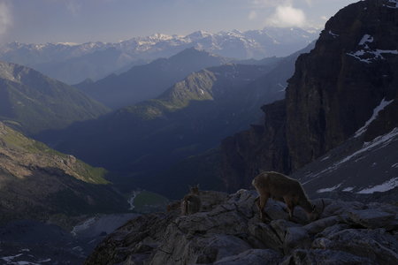 2018-06-25-30-mont-rose, alpes-aventure-mont-rose-refuge-mezzalama-2018-06-26-57