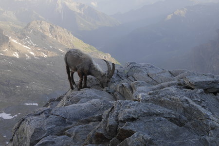 2018-06-25-30-mont-rose, alpes-aventure-mont-rose-refuge-mezzalama-2018-06-26-61