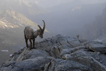 2018-06-25-30-mont-rose, alpes-aventure-mont-rose-refuge-mezzalama-2018-06-26-62