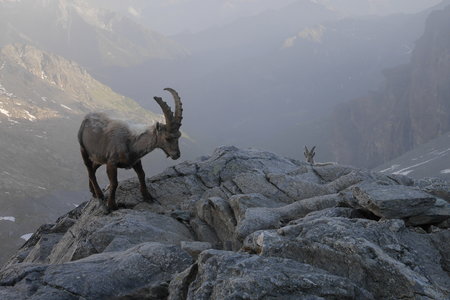 2018-06-25-30-mont-rose, alpes-aventure-mont-rose-refuge-mezzalama-2018-06-26-63