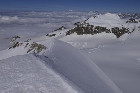 2018-06-25-30-mont-rose, alpes-aventure-mont-rose-naso-del-liskamm-2018-06-29-42
