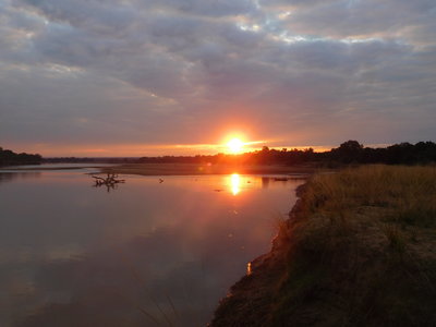 Zambie2018, DSCN3359