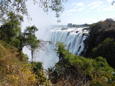 Zambie2018, DSCN3645