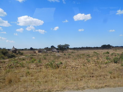 Zambie2018, DSCN4153