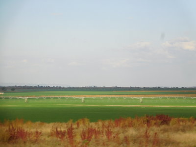Zambie2018, DSCN4198