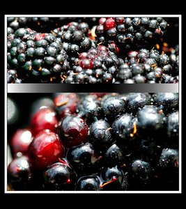 Kaleidoscope, Fruits 01