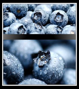 Kaleidoscope, Fruits 03