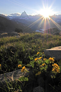 2018-07-08-09-cabane-du-mont-rose, alpes-aventure-cabane-du-mont-rose-2018-07-08-075