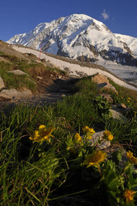 2018-07-08-09-cabane-du-mont-rose, alpes-aventure-cabane-du-mont-rose-2018-07-08-076