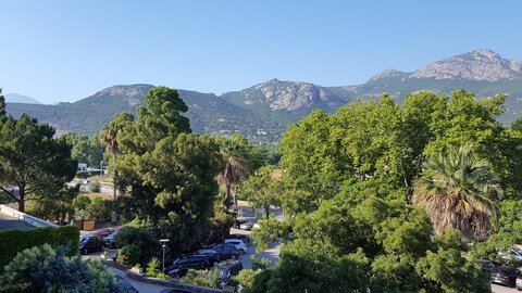 Corse : aux alentours de Calvi., 20180708_084644