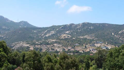 Corse : aux alentours de Calvi., IMG_1842