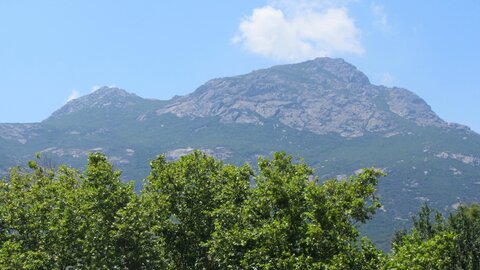 Corse : aux alentours de Calvi., IMG_1843