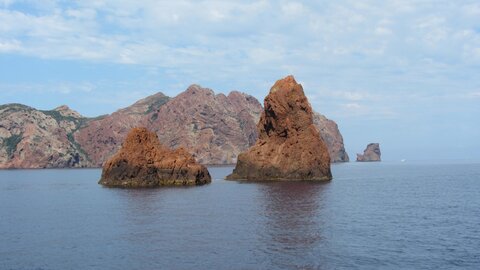 Corse : aux alentours de Calvi., IMG_1852
